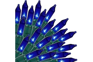 Luminous Night Skies: Christmas Lights Indoor Outdoor, Bathed in the Icy Blue...