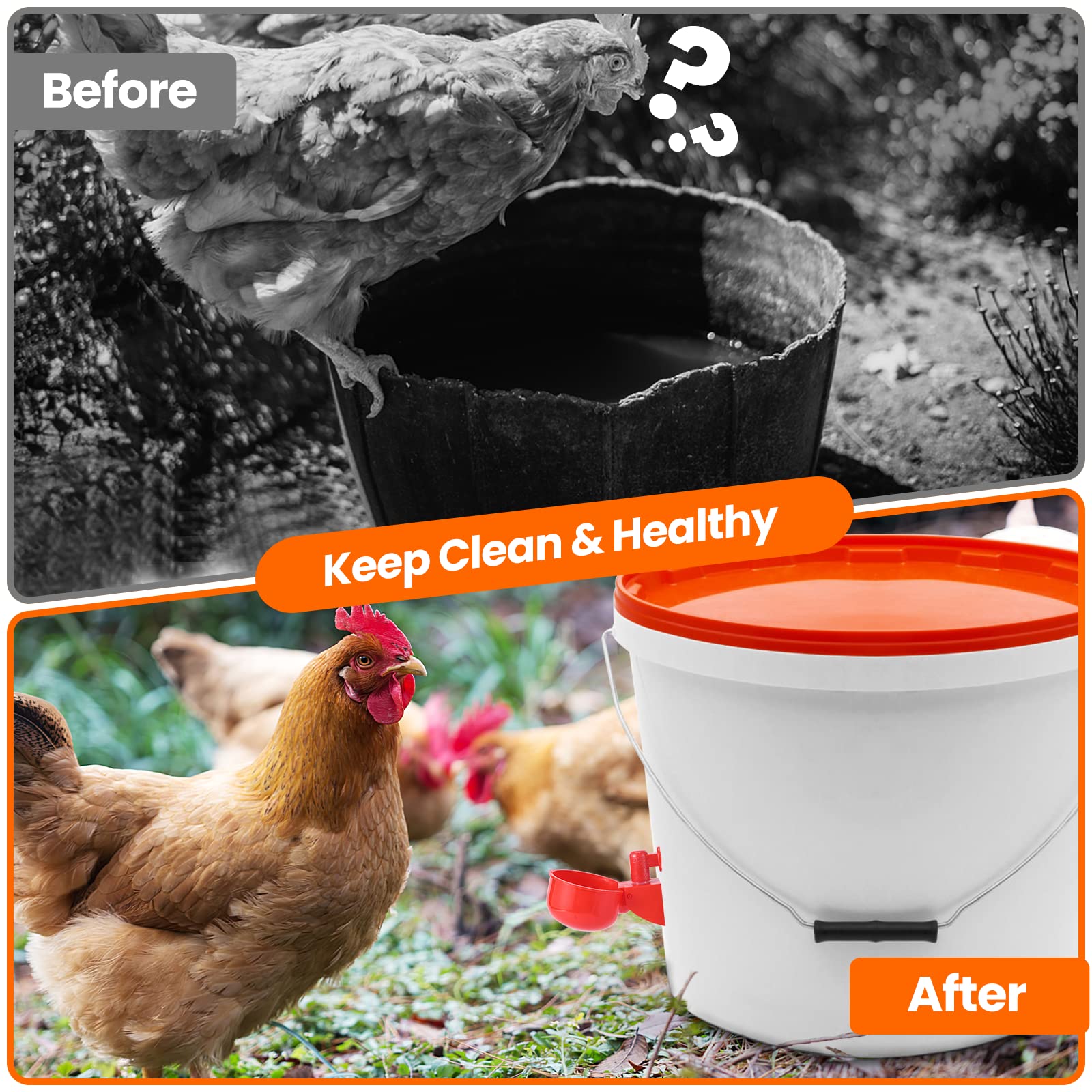 Regadera de pollo, tazas de agua de pollo para aves de corral, llenado automático de gravedad de pollo con sierra perforadora para cubos, cajas y comederos (paquete de 24)