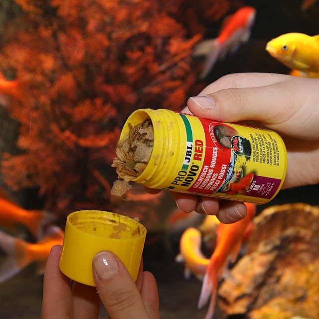 Foto 7 de 8 de JBL PRONOVO Red Flakes, Comida Principal para Peces de Colores de 8 a 20 cm, Copos de Comida para Peces