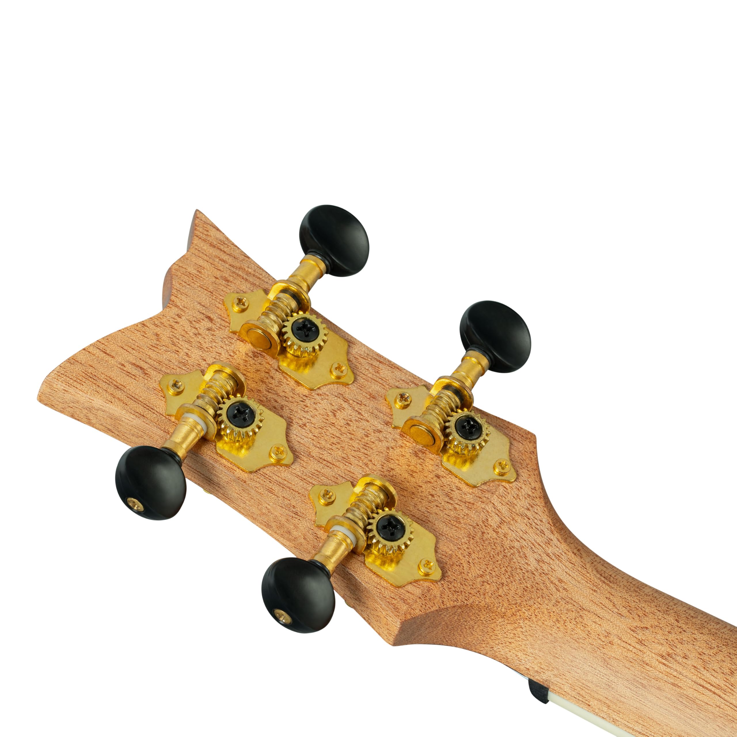 Ortega Guitars Ukulele Tenore Acustico – Ghost Series – Gig Bag Inclusa – Abete Rosso, Blue (RUGH-OCT)