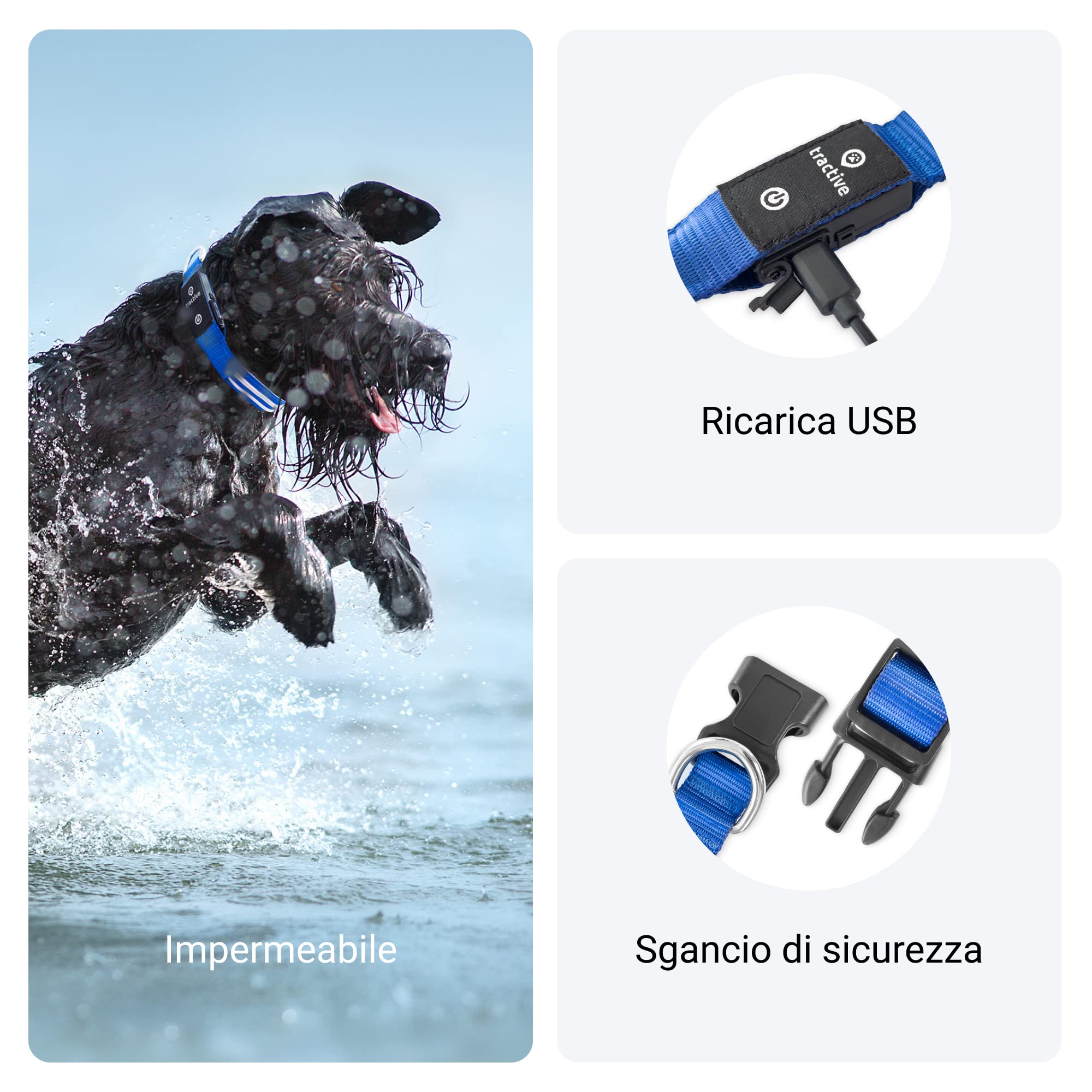 Luci LED Per Collare Cani E Gatti - Set 9 Pezzi, 9 Colori, Clip Sicura, 4 Modalità, Resistenti All'acqua - Foto 4