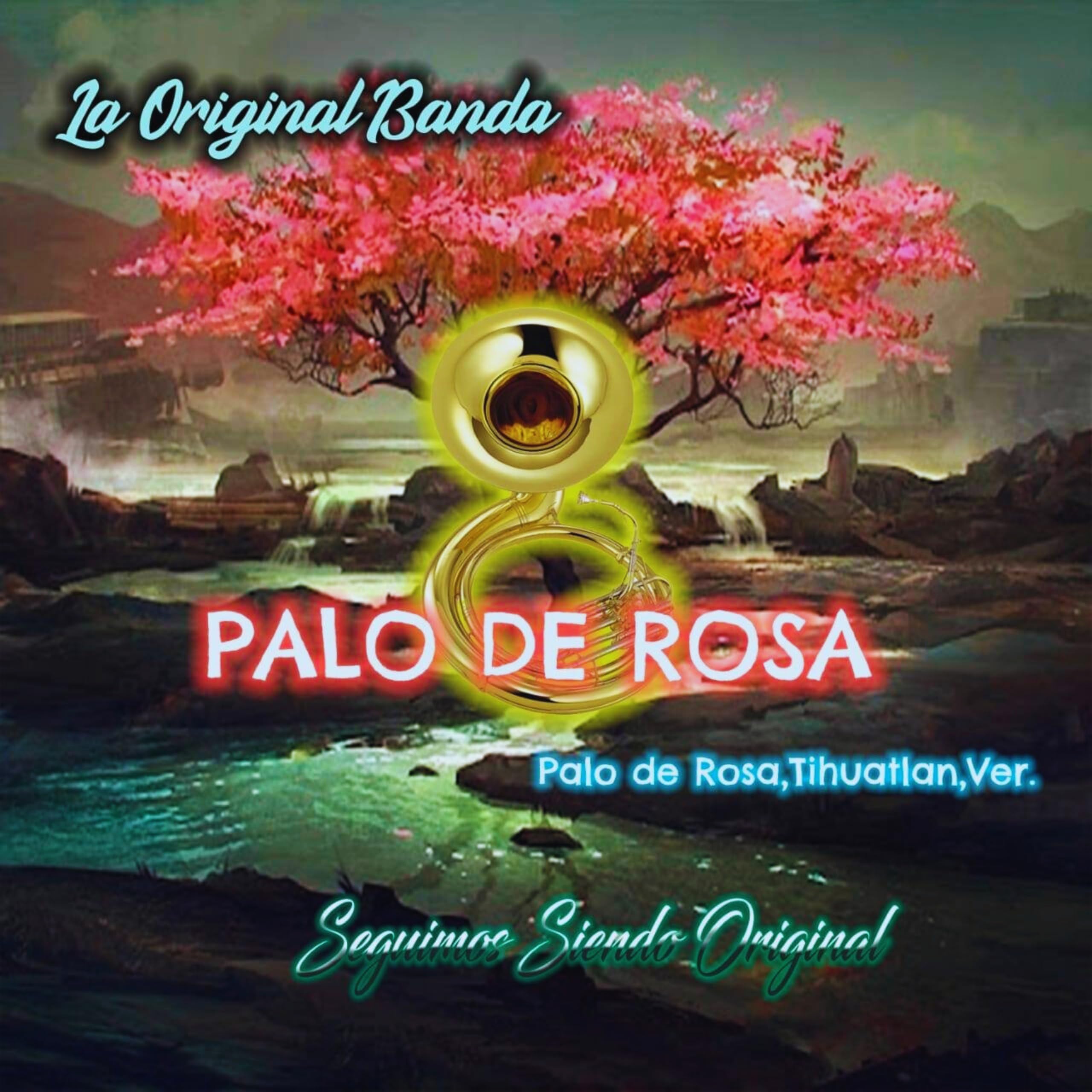 La Original Banda Palo De Rosa