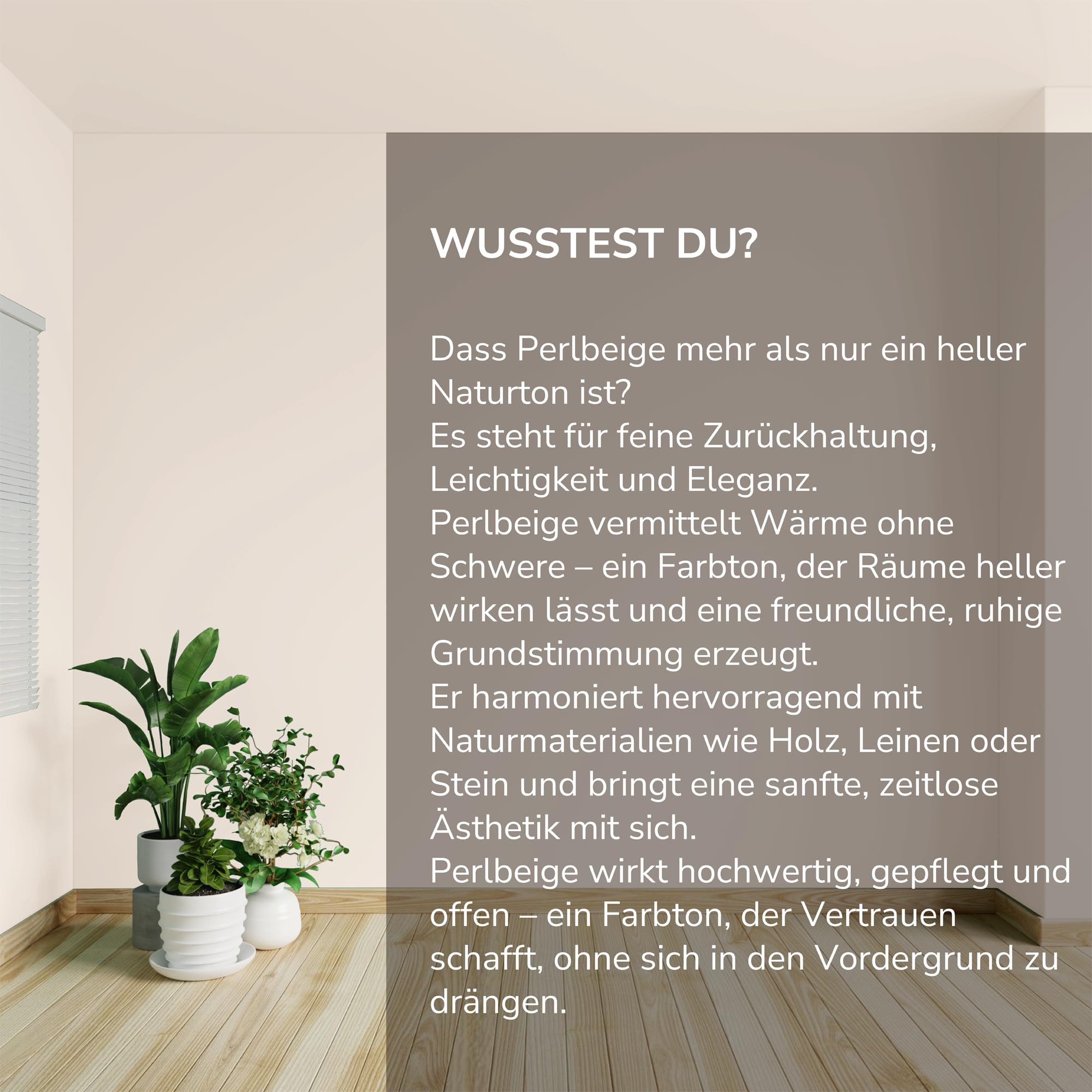 Preismaxx Profiweiß Wandfarbe beige 10L Dispersionsfarbe innen Deckkraftklasse 2 matt