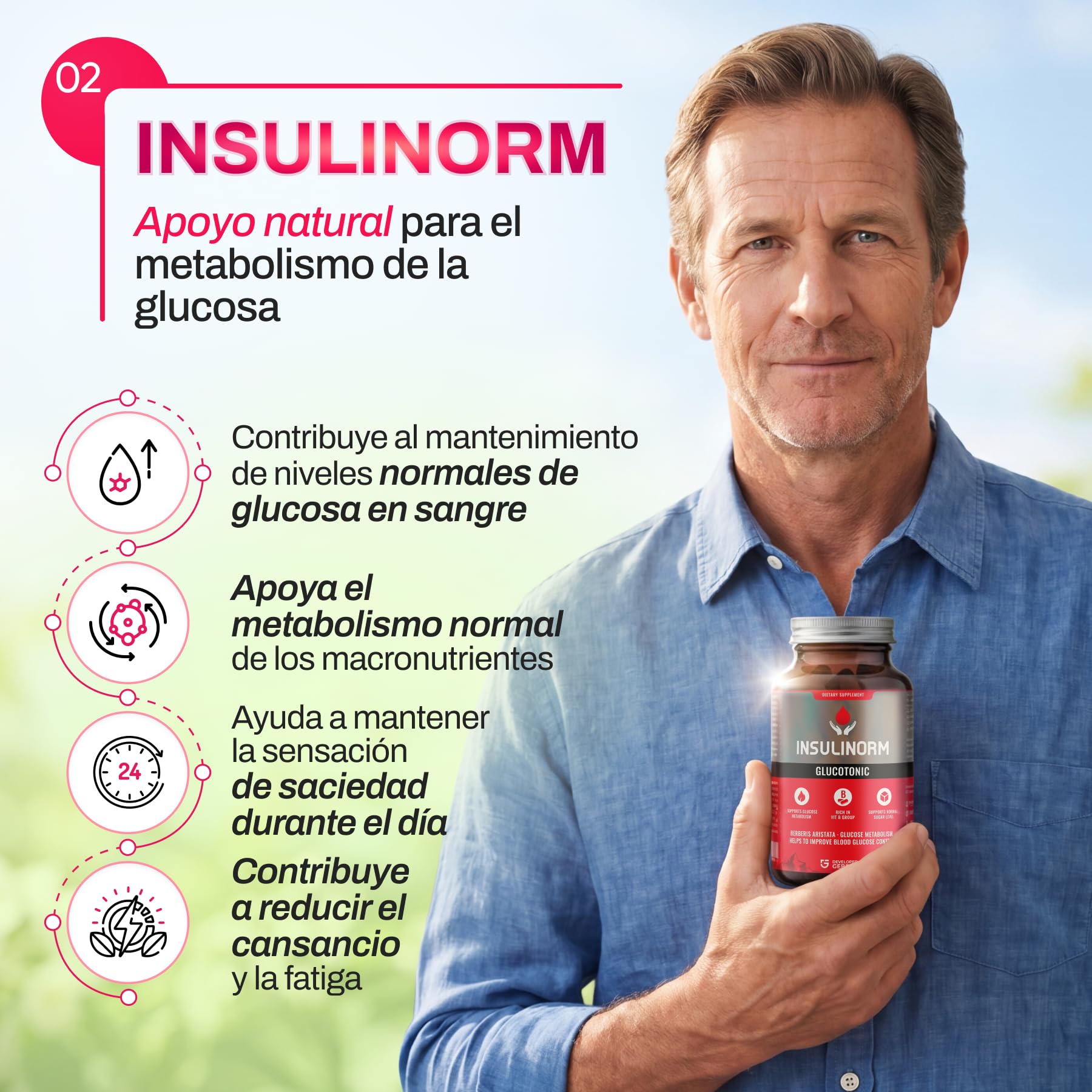 Cápsulas INSULINORM | con Berberina 40 mg, Shiitake 600 mg, Té Verde 400 mg | Mantenimiento de Niveles Normales de Azúcar en Sangre | 30 Cápsulas