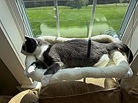 Review Image by Kathy Kathy