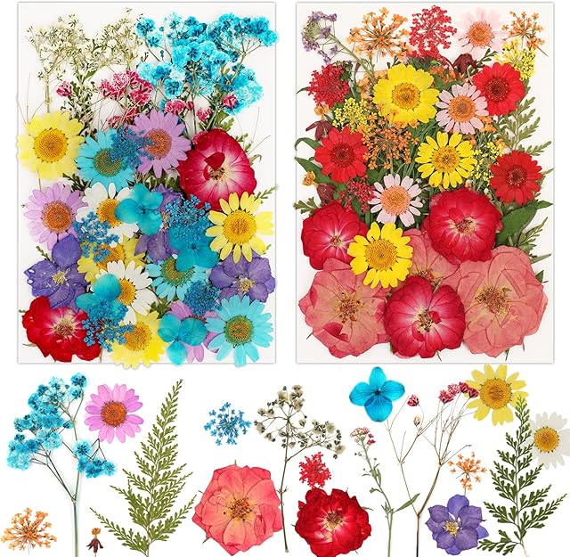 MWOOT 80Pcs Pressed Dried Flowers for Resin Crafts Art, Mixed Natural Pressed Dry Flowers Leaves Set for DIY Candle Resin Jewelry Pendant, Blue Red Yellow Petals for Face Art and Nail Art Decoration