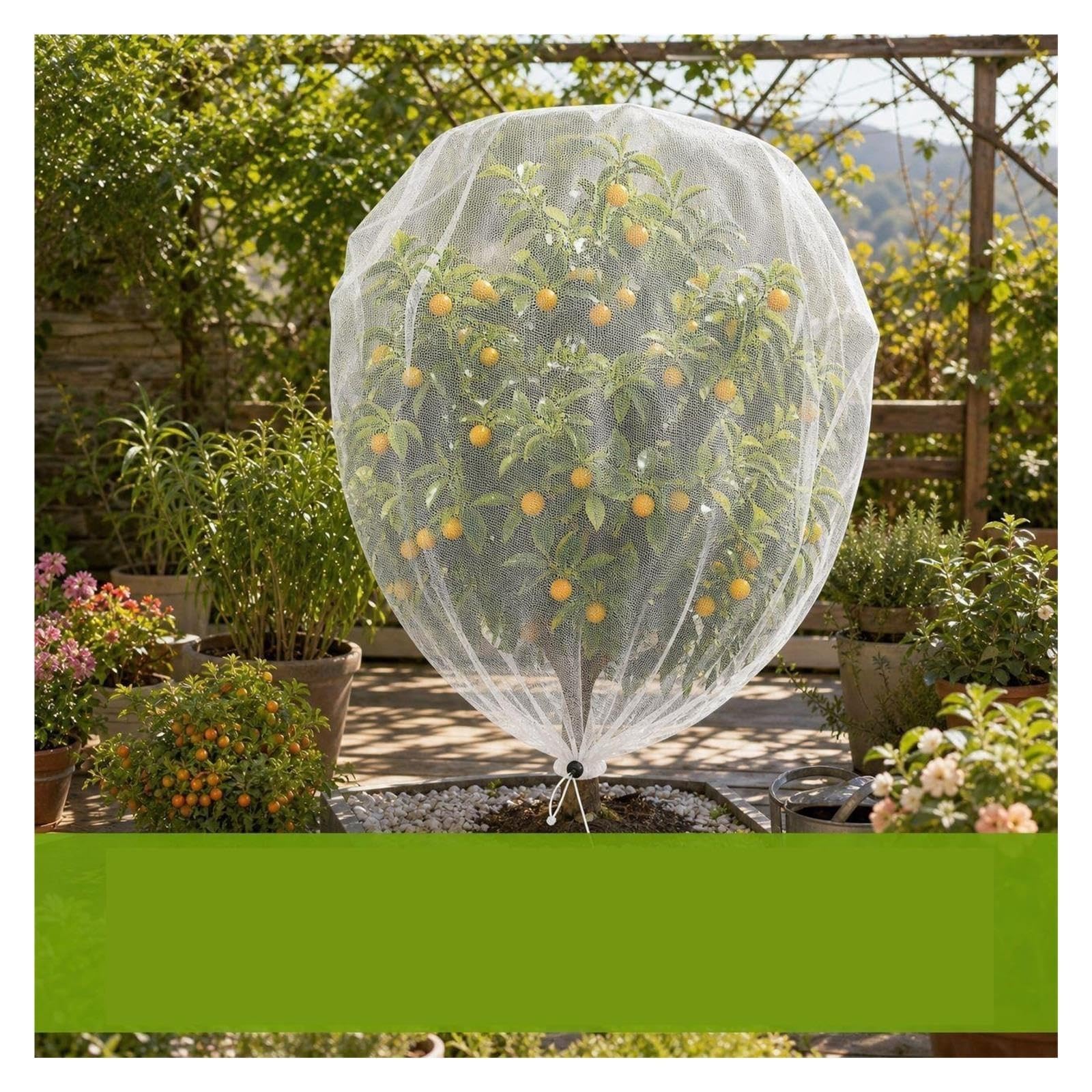 24pcs Fruit Tree Insect Control Net pour Plantes