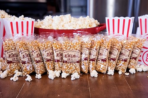 Miniatura 50 de Amish Country Popcorn Bolsas de 10 a 4 onzas – Granos de palomitas de maíz de hongos Anticuado, sin OMG y sin gluten