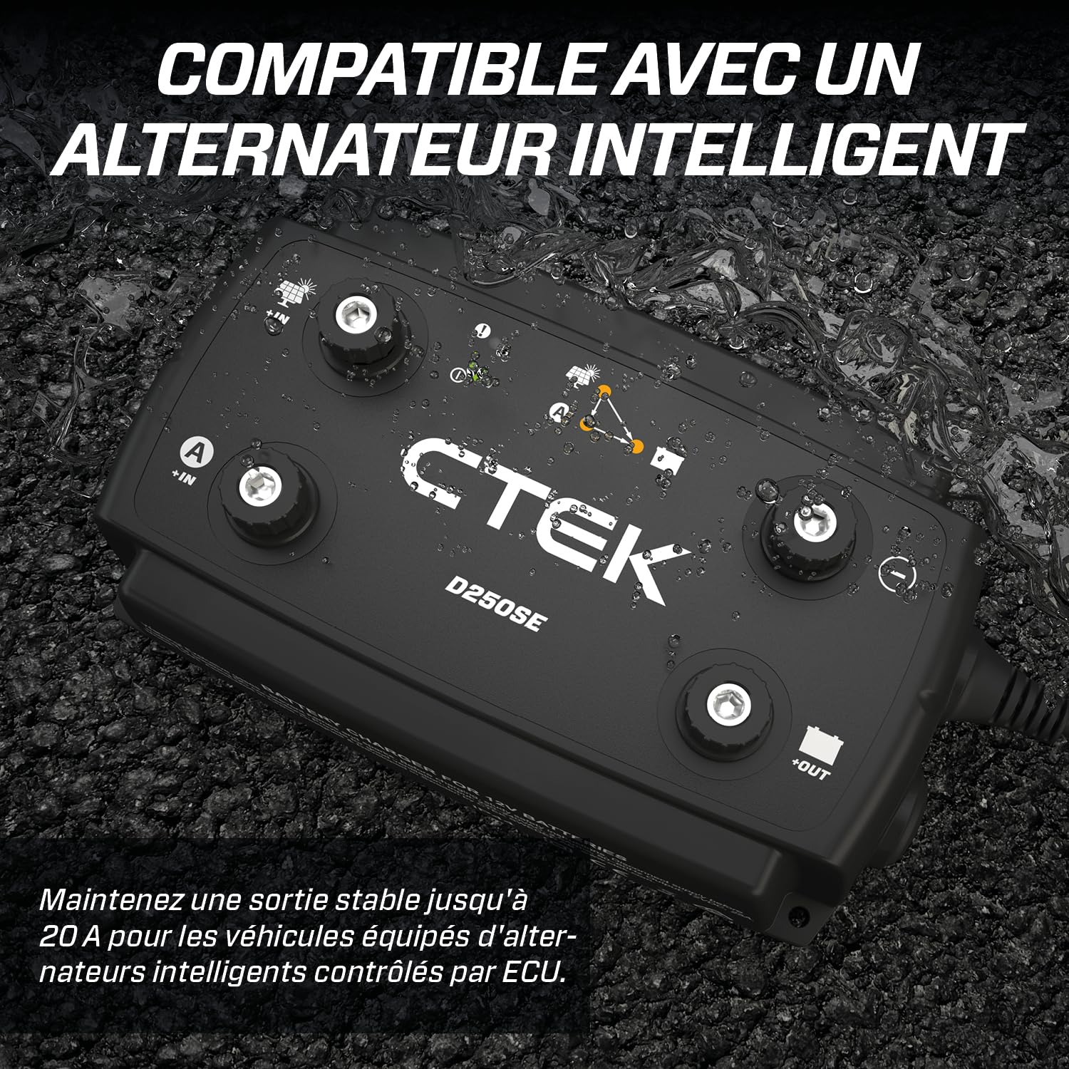 CTEK D250SE Chargeur De Batterie 12V 20A pour Les Batteries De Démarrage Et De Service dans Les Véhicules Récréatifs, Les Camions Et Les 4x4, Chargeur De Batterie Solaire Et Mainteneur De Batterie