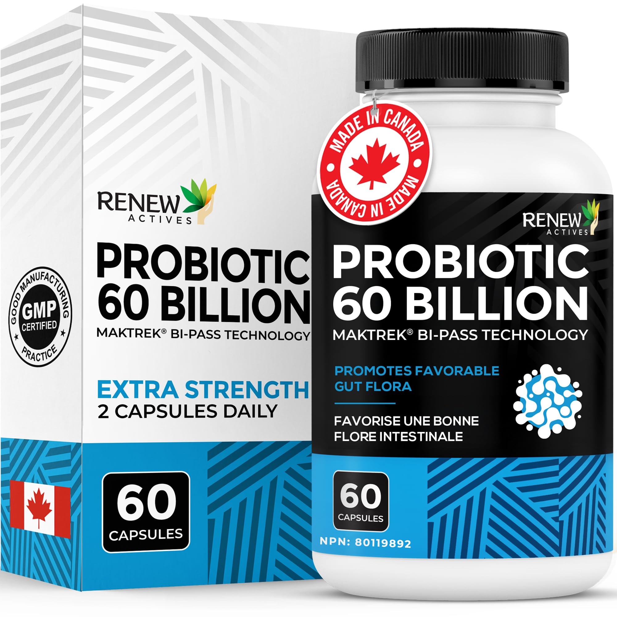 Renew Actives Probiotic Supplement for Digestive Health 60 Billion CFU per 2 Capsules - Advanced Formula with Prebiotic Benefits - Supports Gut Flora Balance & Wellness - Made in Canada - 60 Capsules