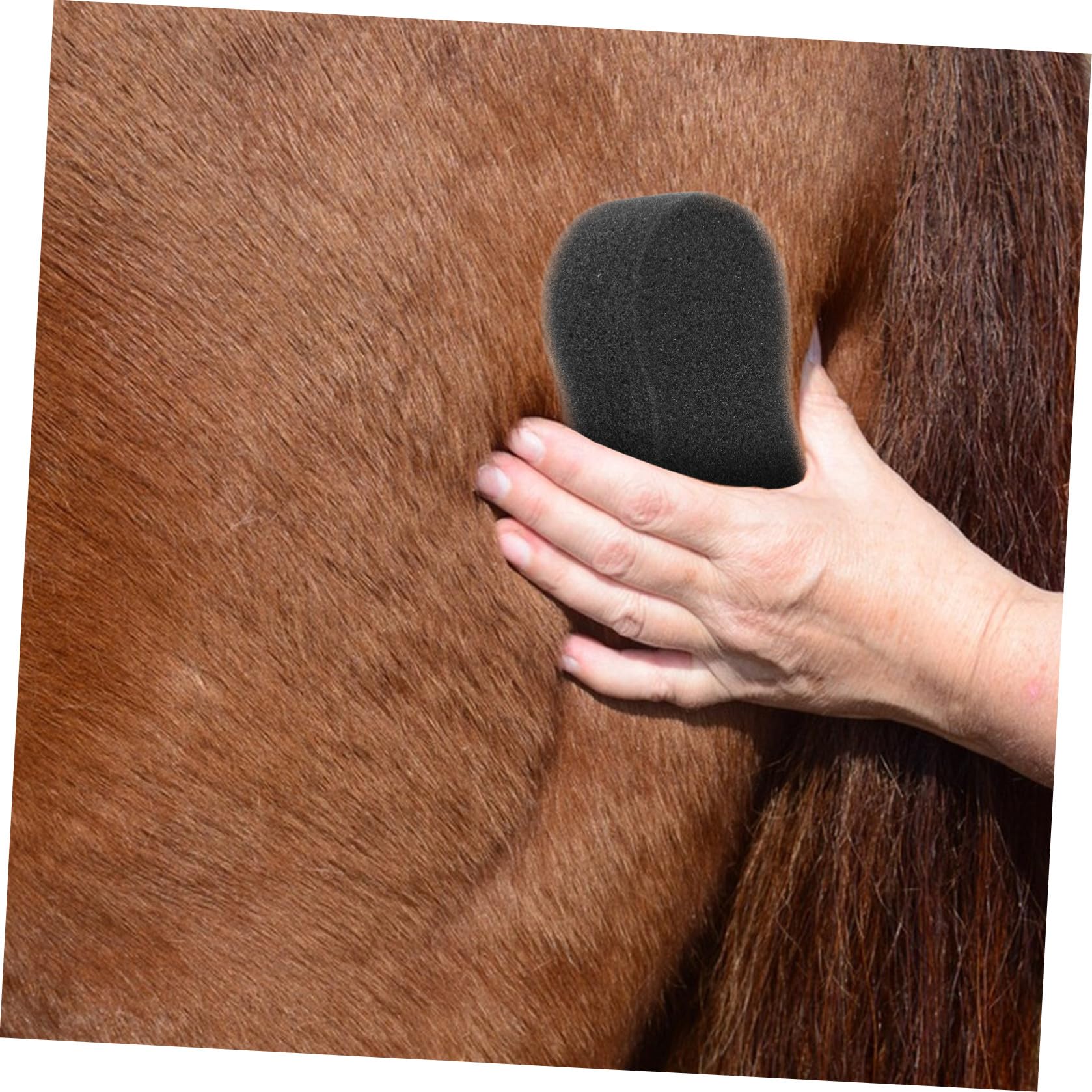 Genérico Esponjas Grandes para Limpieza Corporal de Equinos 5 Piezas 20x11 Cm, Esponjas Suaves para Cuidado y Baño de Mascotas, Herramienta Práctica para Aseo Diario de Caballos