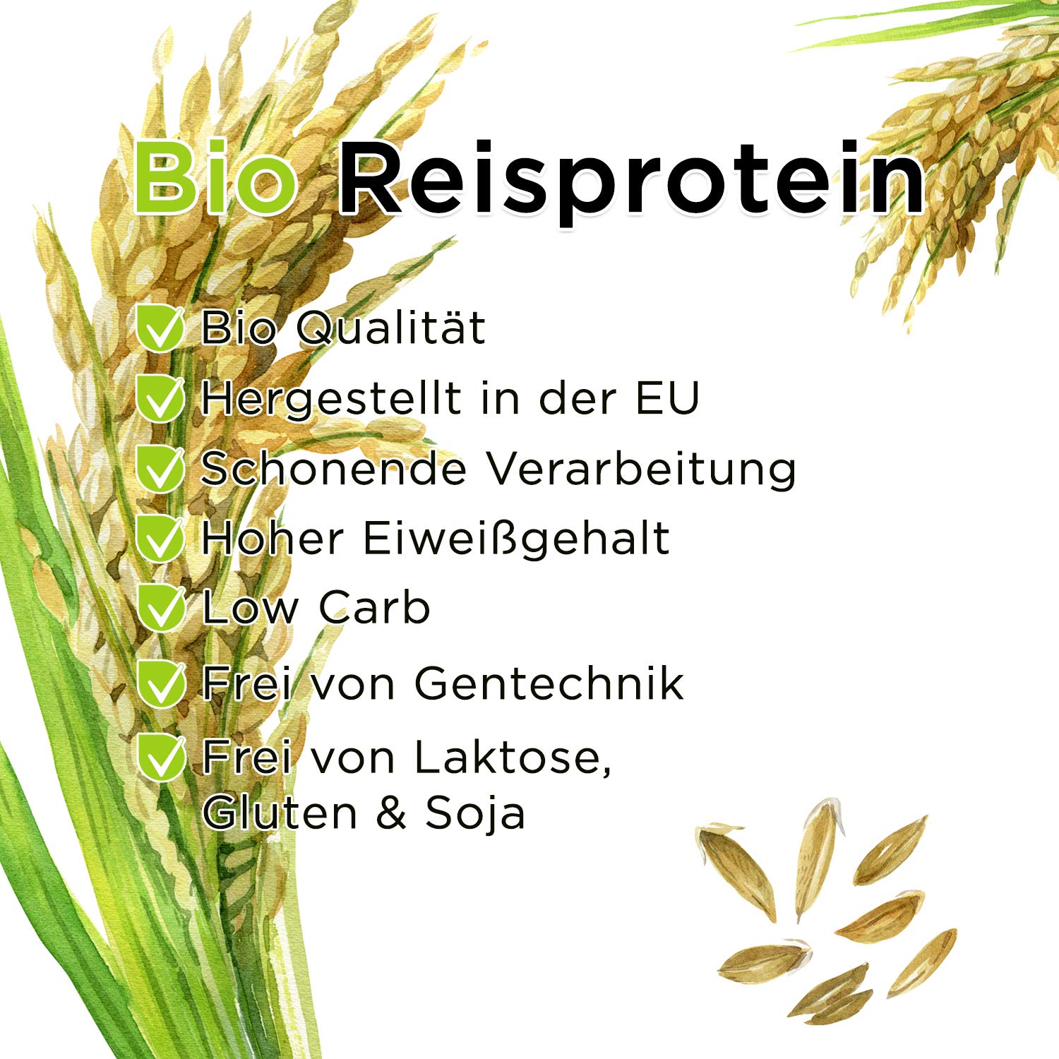 Bio Reisprotein aus EU-Herstellung - 1000g, geprüfte Qualität, schonende Verarbeitung, hoher Proteingehalt