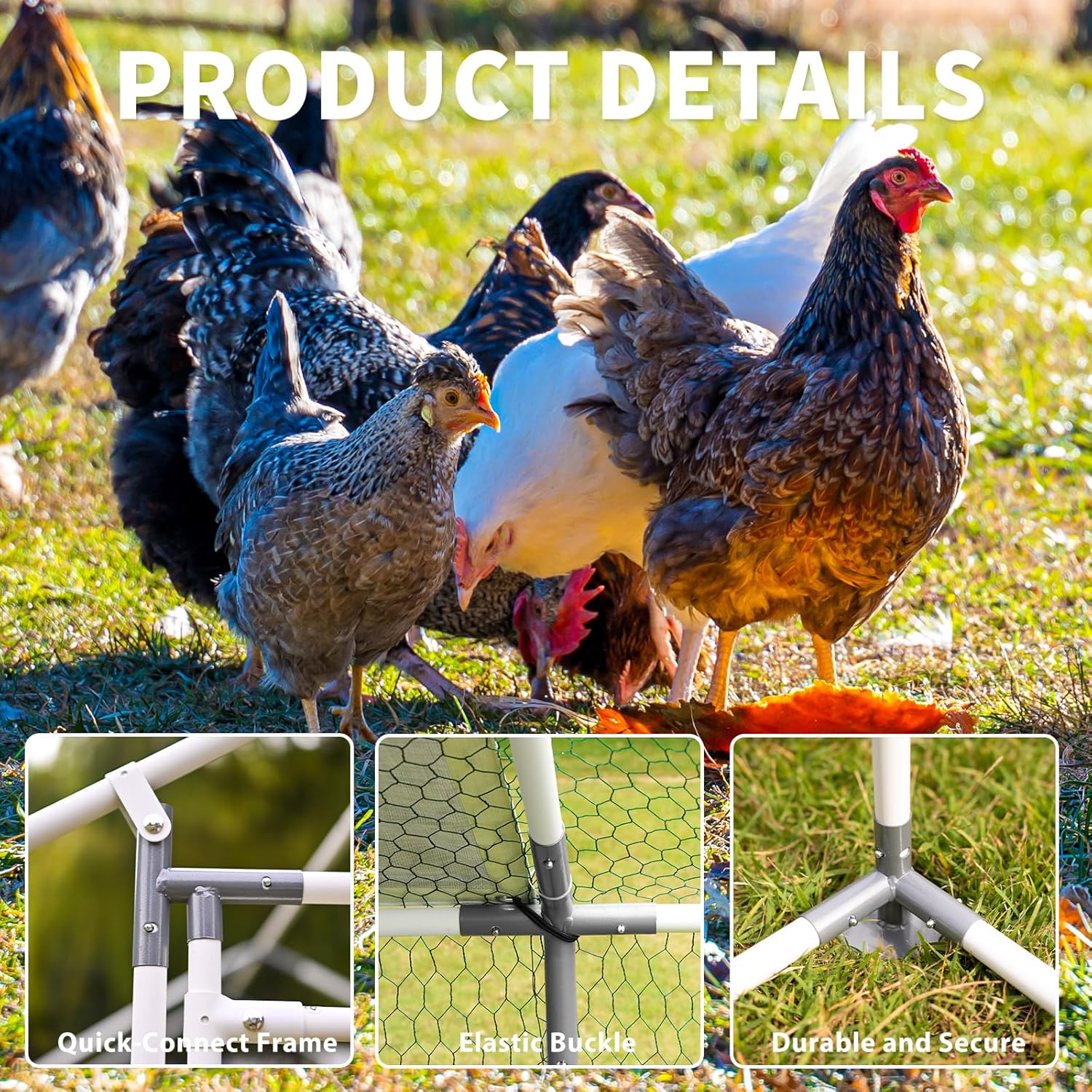 Ultimate Guide to the Large Metal Chicken Coop: A Review of the Perfect Poultry Pen!
