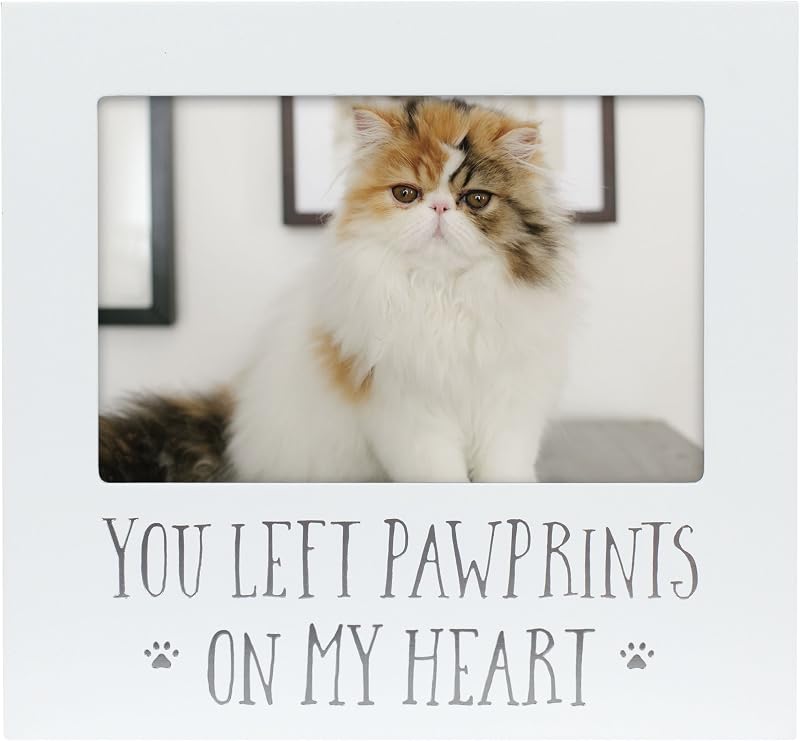 Porta-retrato memorial para cães e gatos Pearhead You Left Pawprints on My Heart, madeira branca para foto 10 x 15 cm