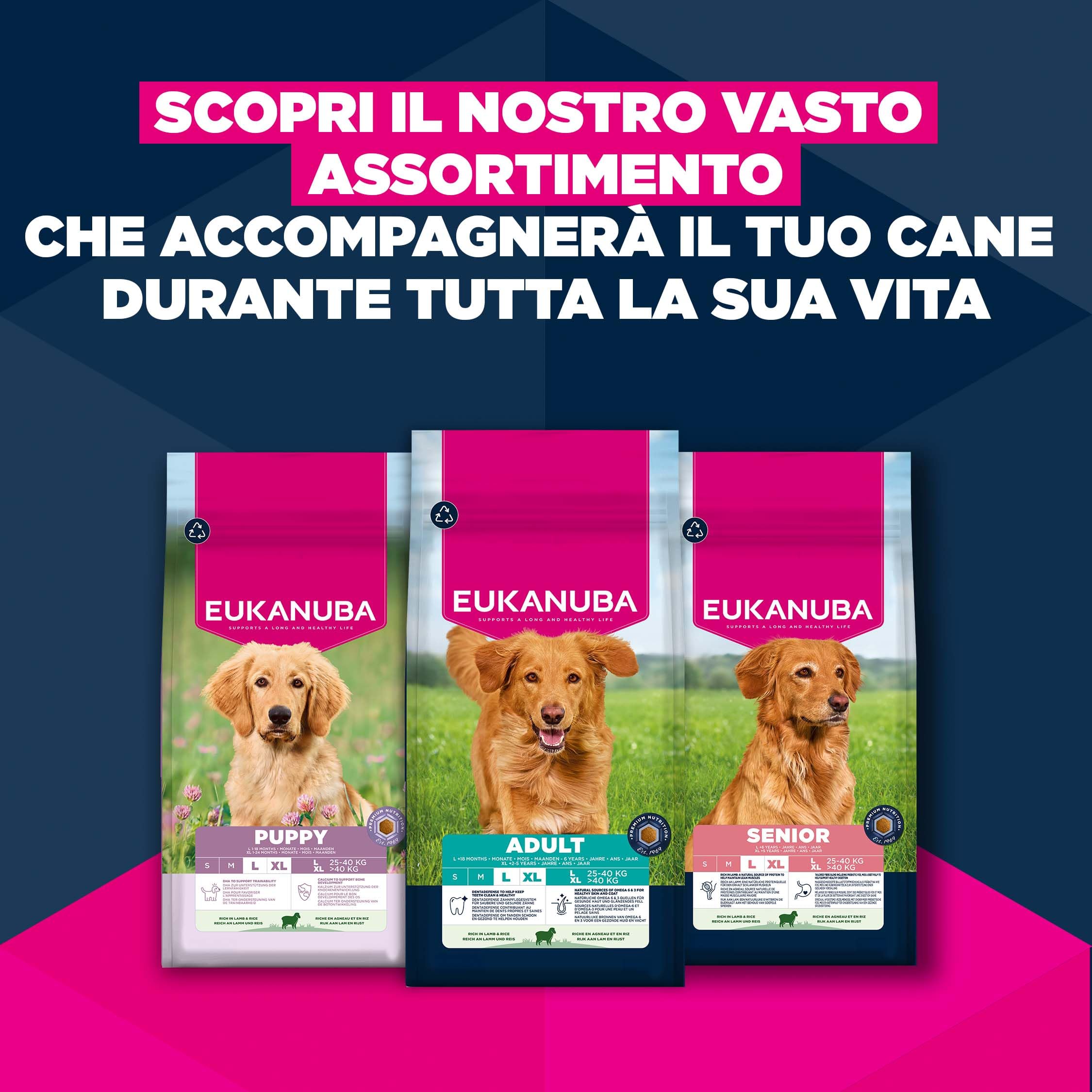EUKANUBA Cibo secco per Cuccioli con agnello e riso per razze di taglia grande - Alimento secco premium per Cani giovani, 12 kg