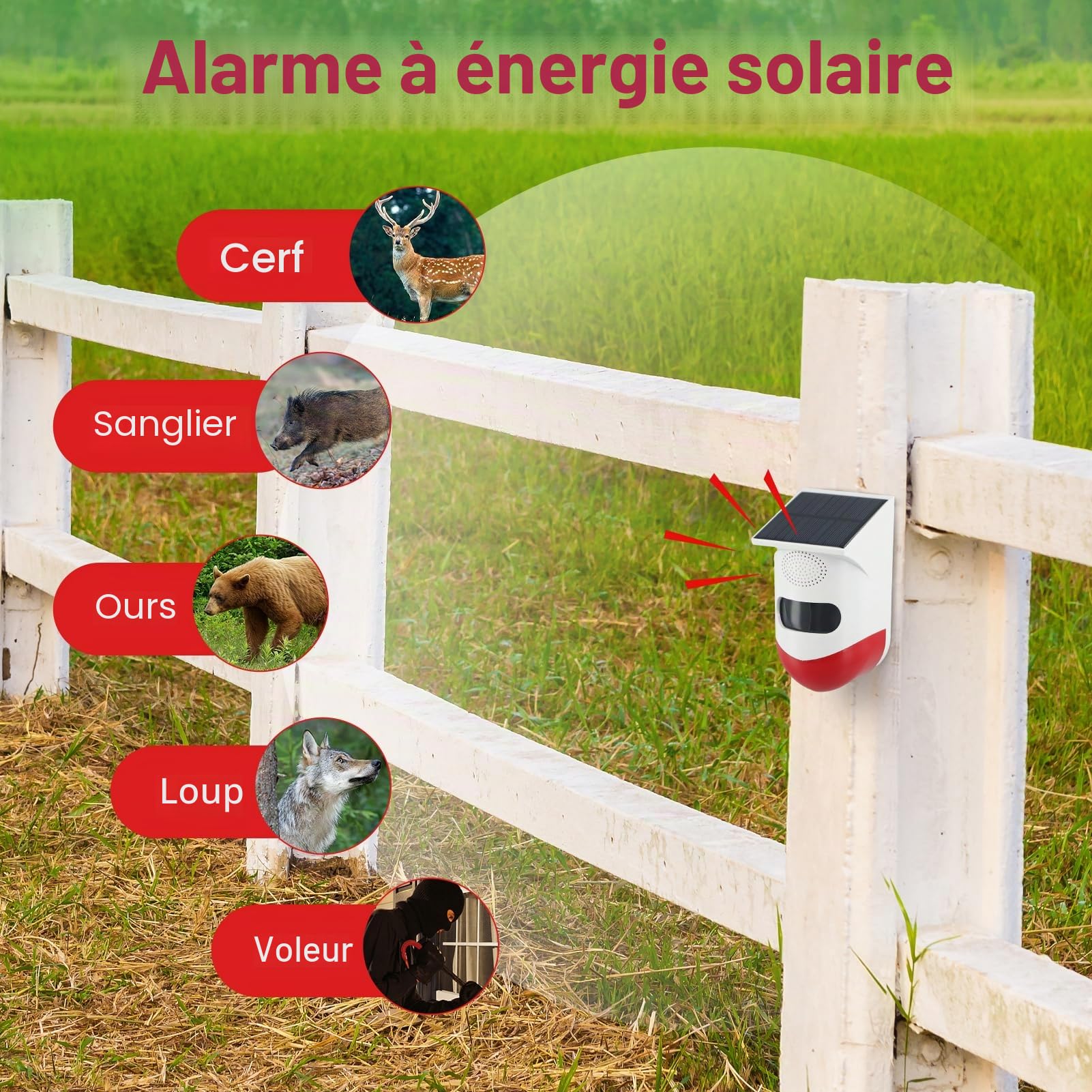 Répulsif de Sanglier avec appels vocaux, Alarme Infrarouge extérieure étanche pour l'extérieur