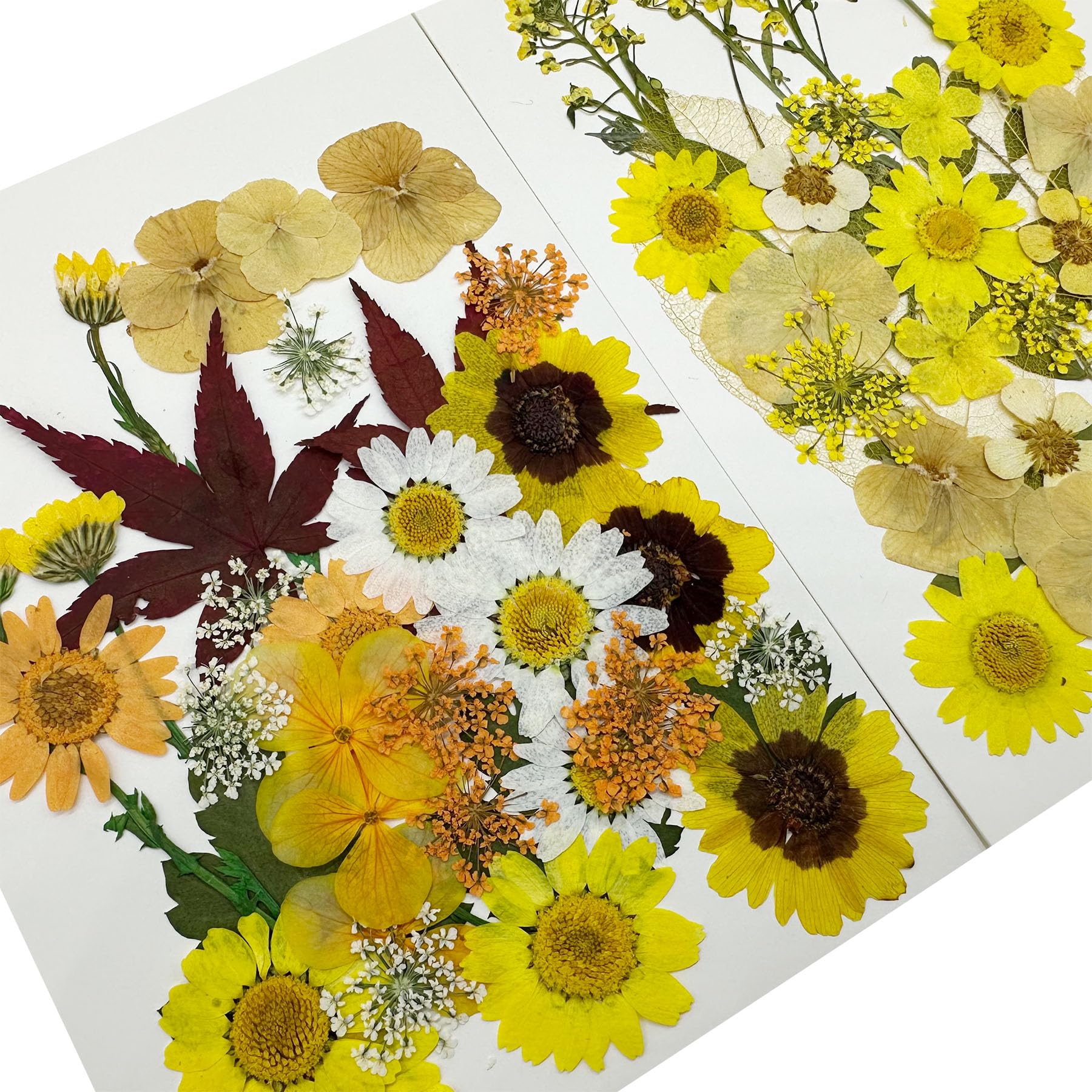Woohome 4 Pack Dried Flowers for Resin Molds 137 Pcs Real Natural Dried Pressed Flowers - Image 3