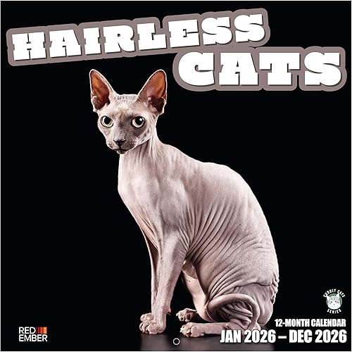 RED EMBER Hairless Cats 2023 Calendario mensual de pared colgante 12 x 24 pulgadas abierto Papel grueso y resistente Regalar Calva es hermosa RED EMBER Hairless Cats 2023 Calendario mensual de pared colgante 12 x 24 pulgadas abierto Papel grueso y resistente Regalar Calva es hermosa