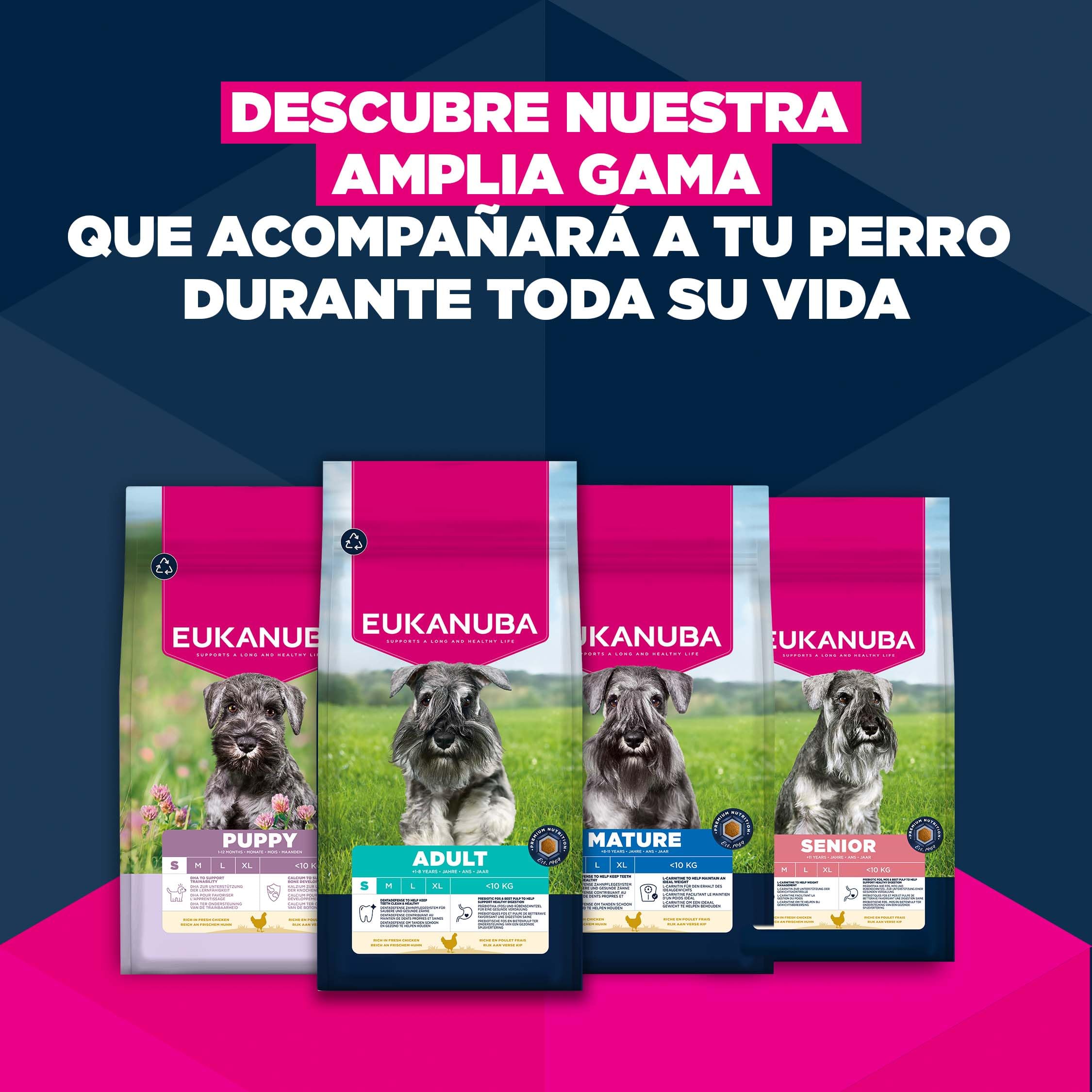 Eukanuba, alimento seco para Perros con Pollo Fresco para Razas pequeñas - Alimento seco Premium para Perros Adultos, 15 kg