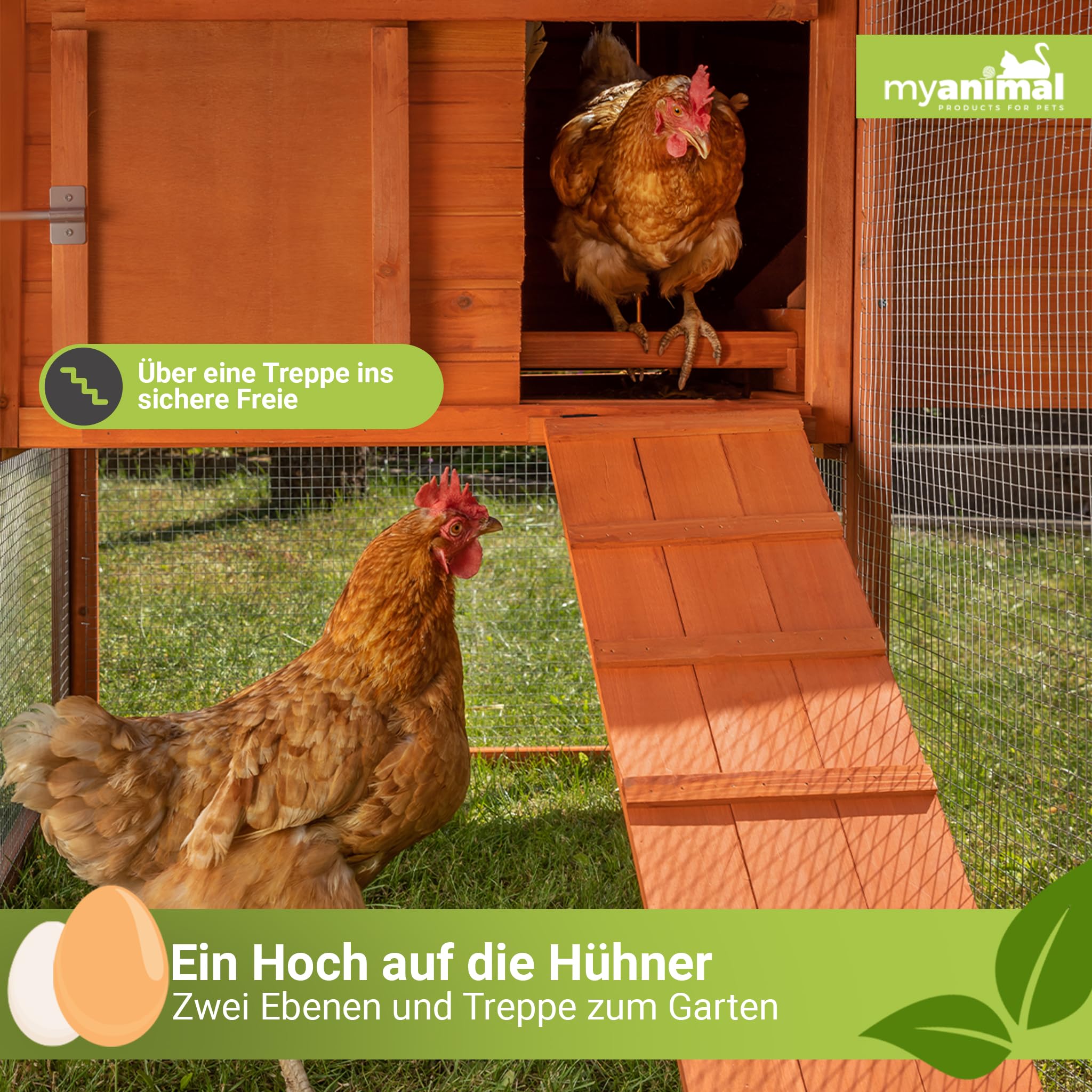 Miweba MyAnimal Hühnerstall XXL für 8 Hühner | 234x127x124 cm Winterfest - Vogelhaus - Hühnergehege mit Nistkasten - Voliere - Hühnerhaus - Freilaufgehege Huhn - Legenest - Vogelvoliere (Grau/Weiß)