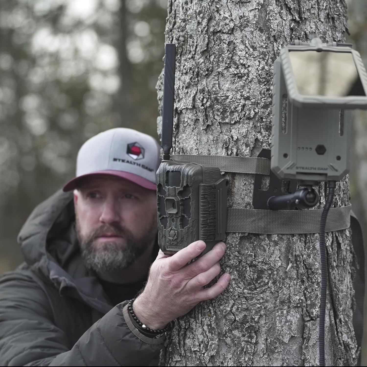 A person mounting the Stealth Cam Deceptor Max trail camera to a tree using a strap, with another camera already mounted nearby.