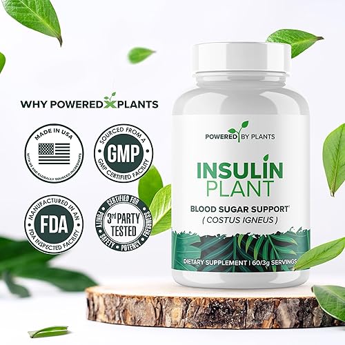 Miniatura 6 de Cápsulas vegetales de insulina – 3000 mg de polvo de hoja de Costus Igneus sin aglutinantes, rellenos ni gluten, suplementos veganos sin OMG para