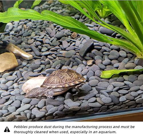 Miniatura 5 de CJGQ Rocas negras de 18 libras para plantas, rocas decorativas de río para suculentas, cactus jardín, paisajismo al aire libre, guijarros de playa