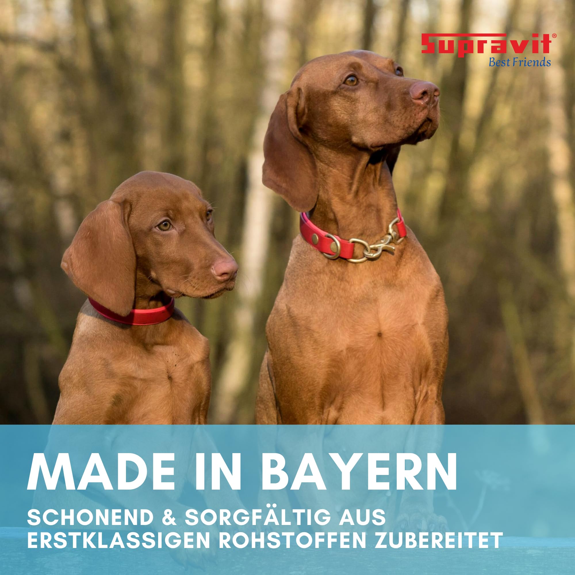 halsband mit schloss Ruffwear Knot-a-Collar: Reflektierendes Hundehalsband aus Kletterseil
