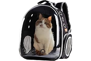 Clear Cat Backpack for Ultimate Pet Comfort and Visibility