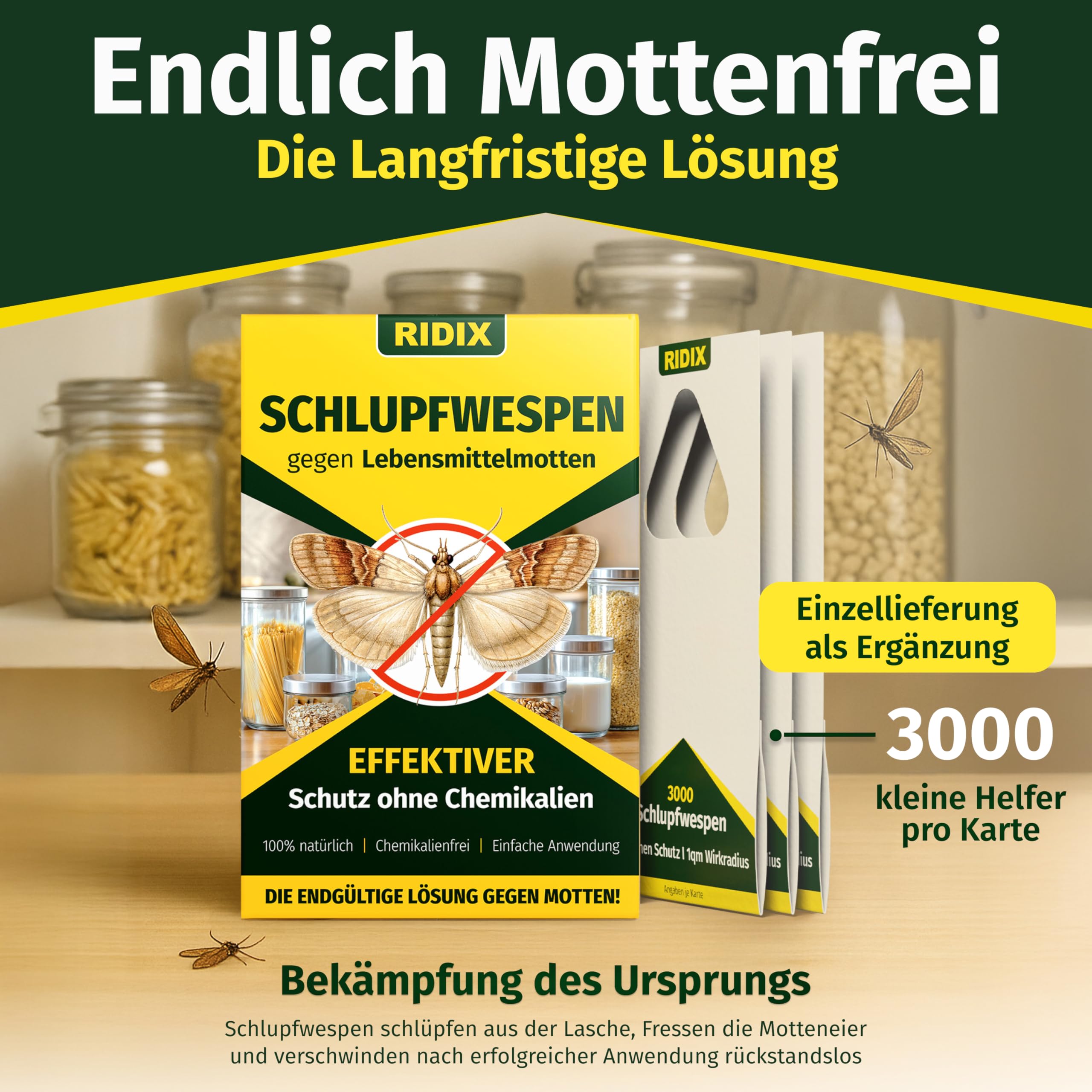 Schlupfwespen gegen Lebensmittelmotten [1 Lieferung mit 4 Karten] - Schlupfwespen gegen Motten als biologische Lösung frei von Chemie - Schlupfwespen Lebensmittelmotten