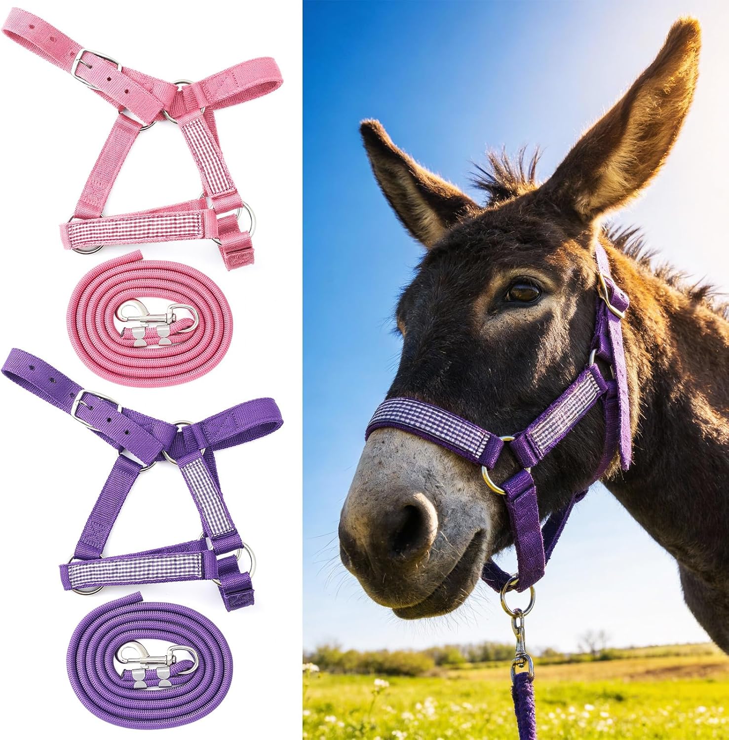 2 Set Miniature Donkey Halter with Lead Ropes, Cute and Stylish Adjustable Purple & Pink Nylon Head Collar Set for Miniature Donkeys