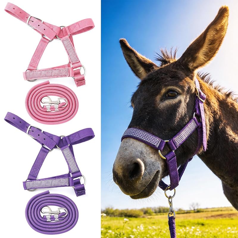 Cabresto com Guia para Mini Jumentos em Nylon Yeyeplum, Roxo e Rosa, Pacote com 2