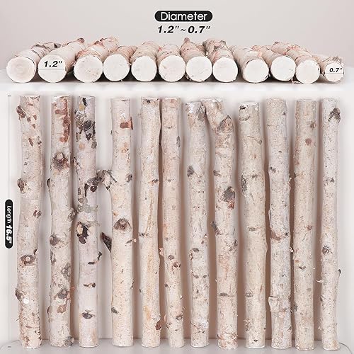 Miniatura 2 de Paquete de 12 troncos de abedul para chimenea de madera decorativa para manualidades, troncos de abedul natural para decoración, decoración de