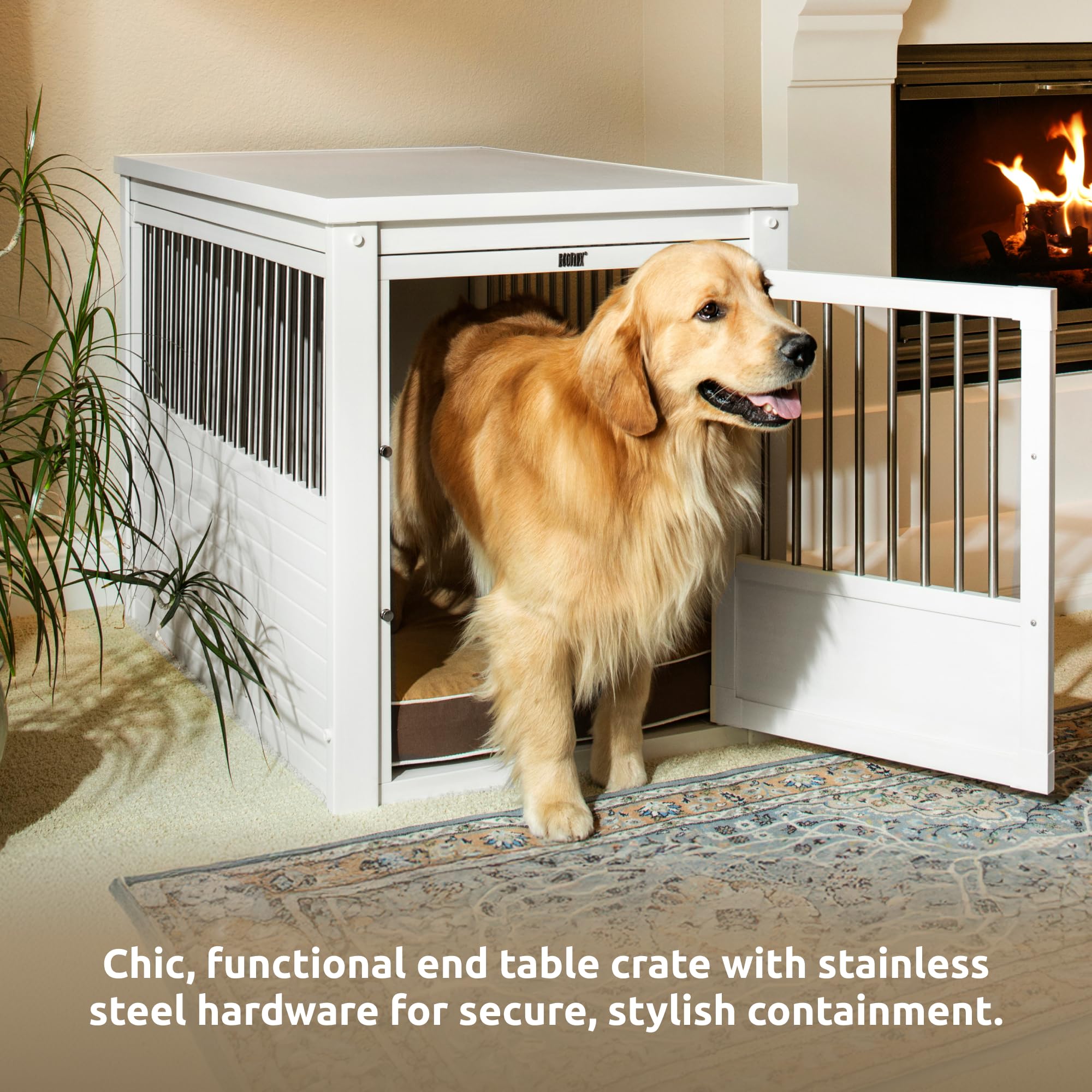 Amazon.co.jp: 海外ペット用品セレクトショップALLFORWAN'sLIFE