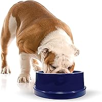 K&H Coolin' Pet Bowl 96oz - Cooling Water Dish for Dogs & Cats, Keeps Water Ice Cold 15+ Hours, BPA-Free Indoor/Outdoor Use