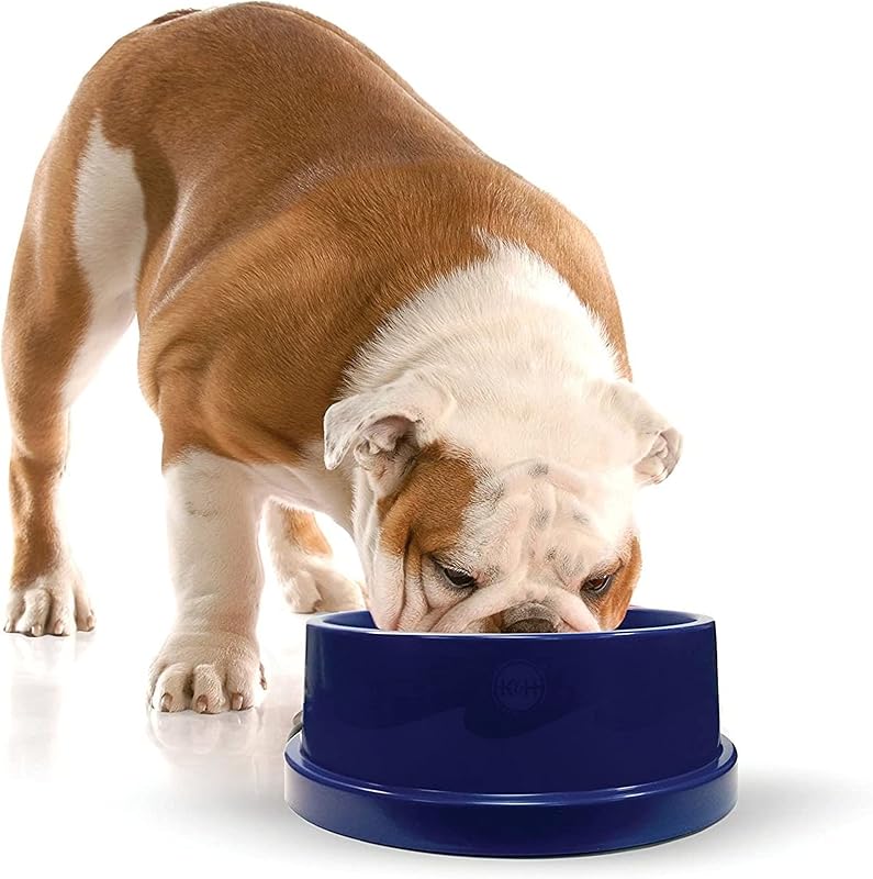 Tigela para Água de Cães K&H Coolin' Pet Bowl com Resfriamento e Parede Dupla, 2,84 L