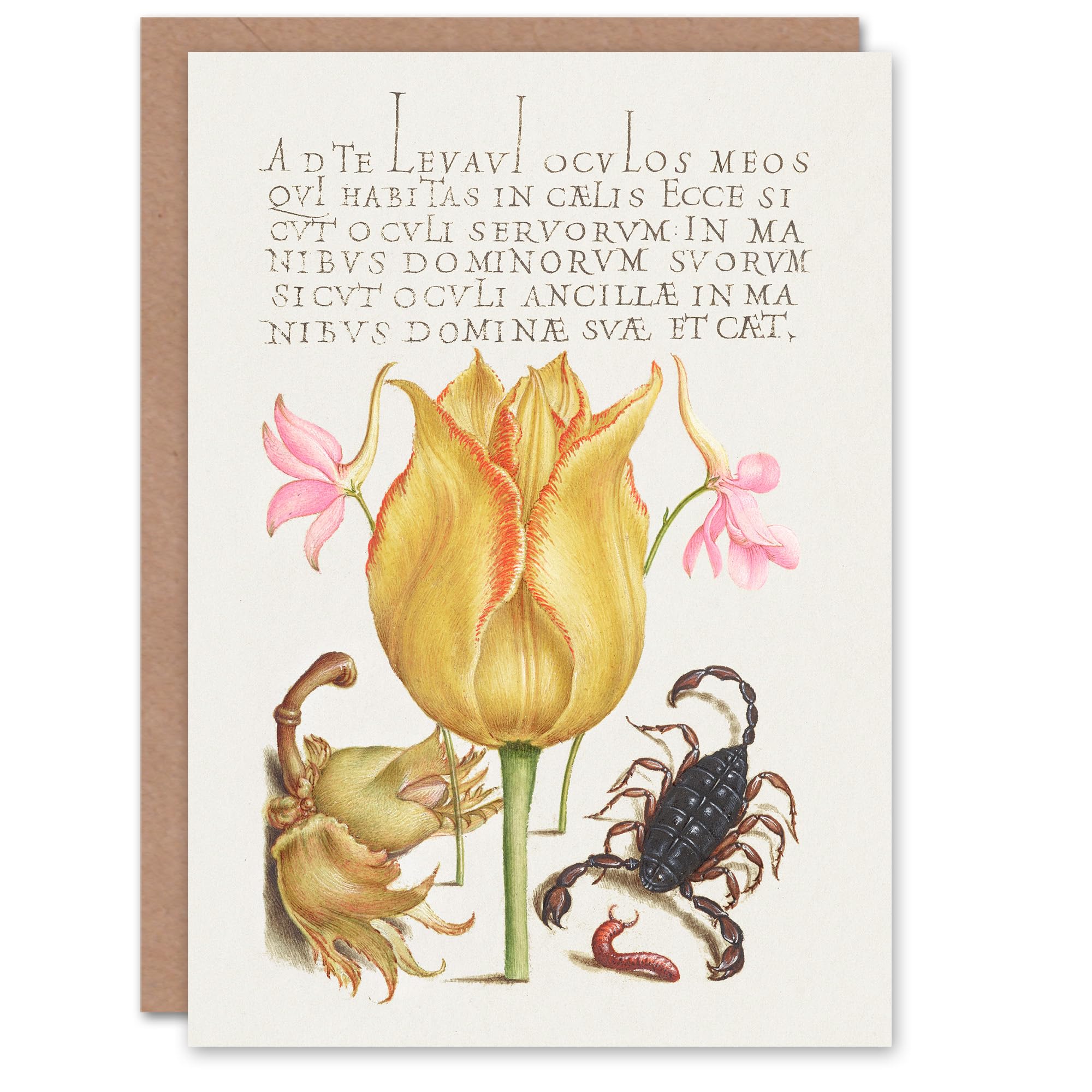 Artery8 Model Book of Calligraphy Art Card Larkspurs Tulip and Scorpion