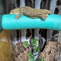 【中古】GEX EXOTERRA グラステラリウム 3045 PT2602 Amazon | ジェックス GEX EXOTERRA グラステラリウム3045 PT2602