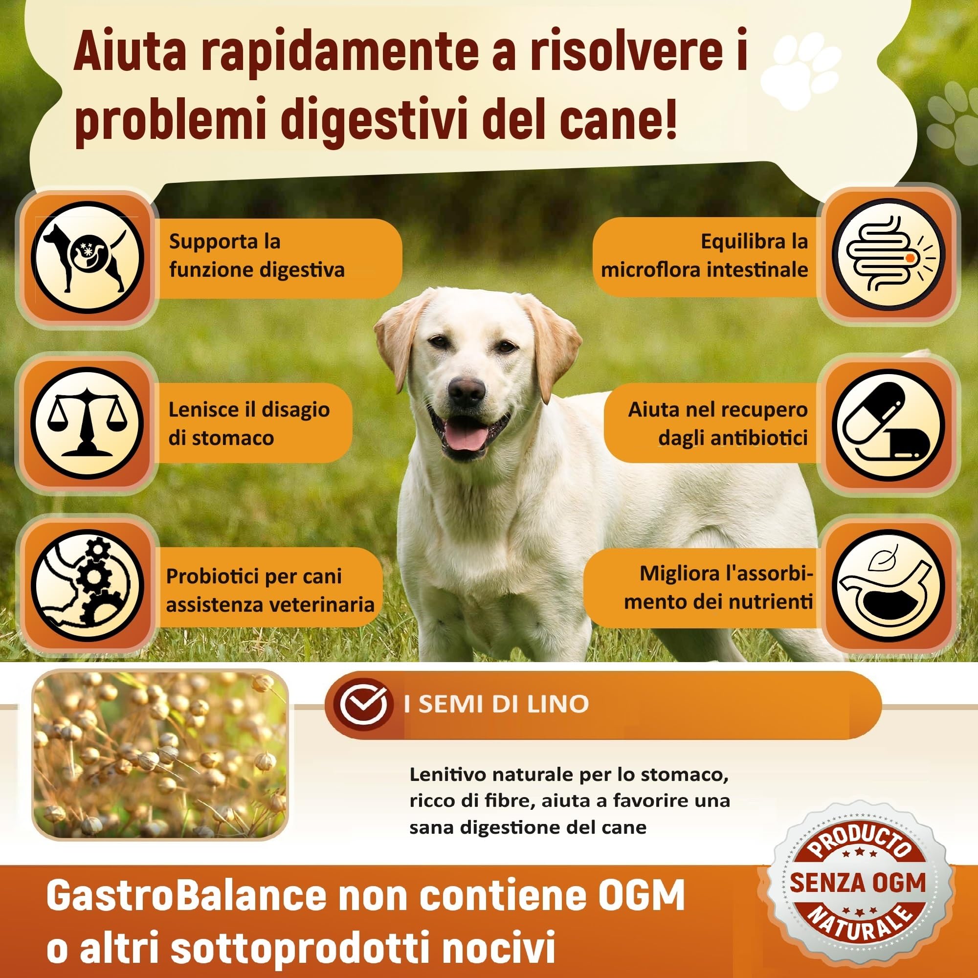 cani probiotici – 60 bocconcini masticabili naturali prebiotici e probiotici per Cane - Sapore di Pollo (Italiano)