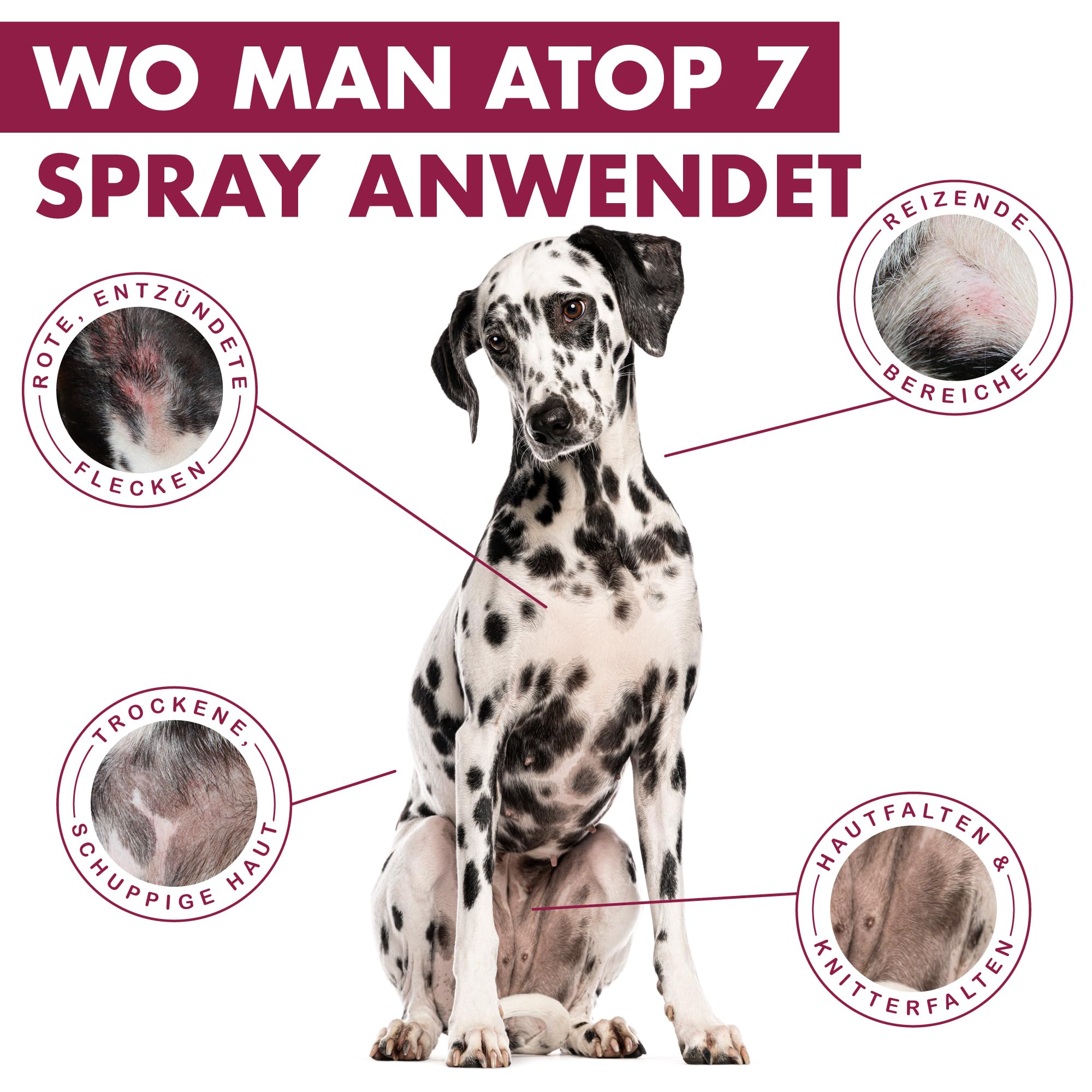 Pflegespray gegen Juckreiz und Geruch | Sensitives Spray für Hunde und Katzen mit empfindlicher Haut | Alternative zu Hundeshampoo bei Milben und Hautirritationen | Atop 7 Spray von Dermoscent