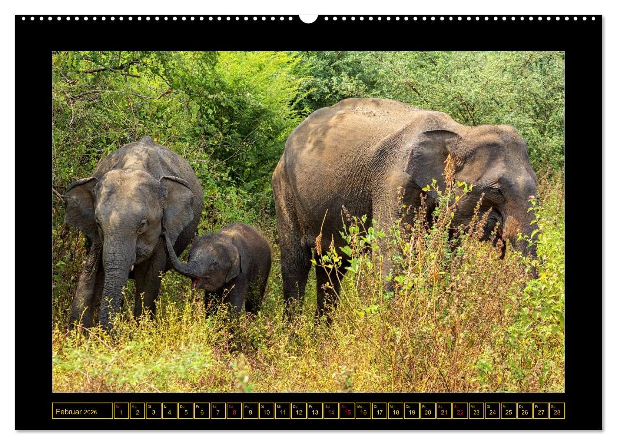 Sri Lanka - Landschaft und Kultur (hochwertiger Premium Wandkalender 2026 DIN A2 quer), Kunstdruck in Hochglanz: Sri Lanka - Tropische Insel mit jahrtausendealter Kultur (CALVENDO Orte)