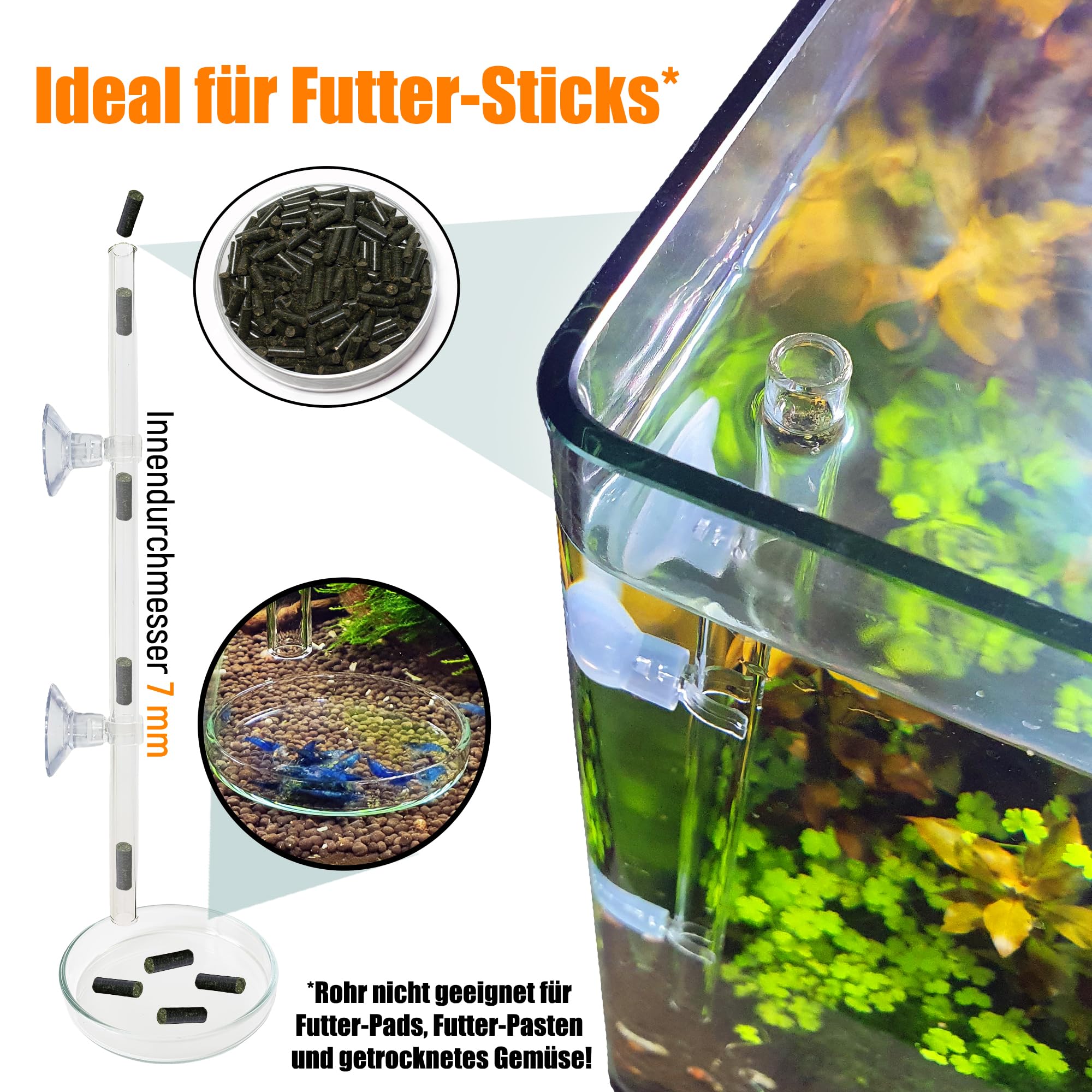Lot de tubes d'alimentation en verre de laboratoire 28 cm – Fabriqué en Allemagne – Tube d'alimentation d'aquarium avec mangeoire pour crevettes – Verre incassable – Design élégant – Tube