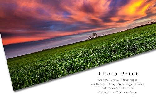 Miniatura 2 de Sky Photography Print (Not Framed) Picture of Clouds Illuminated by Sunlight Over Field at Sunset in Oklahoma Country Wall Art Nature Decor (8" x