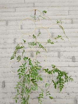 RISEON Boho Vintage DIY 13 PCS Bamboo Wall Trellis Set,Minimalist Plant Display Vertical Garden for Climbing Plants Potted Vines Vegetables Vining Flowers
