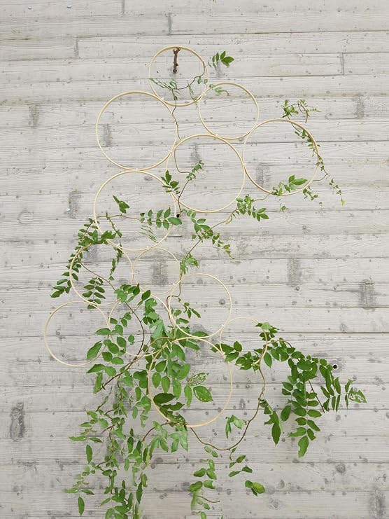 RISEON Boho Vintage DIY 13 PCS Bamboo Wall Trellis Set,Minimalist Plant Display Vertical Garden for Climbing Plants Potted Vines Vegetables Vining Flowers