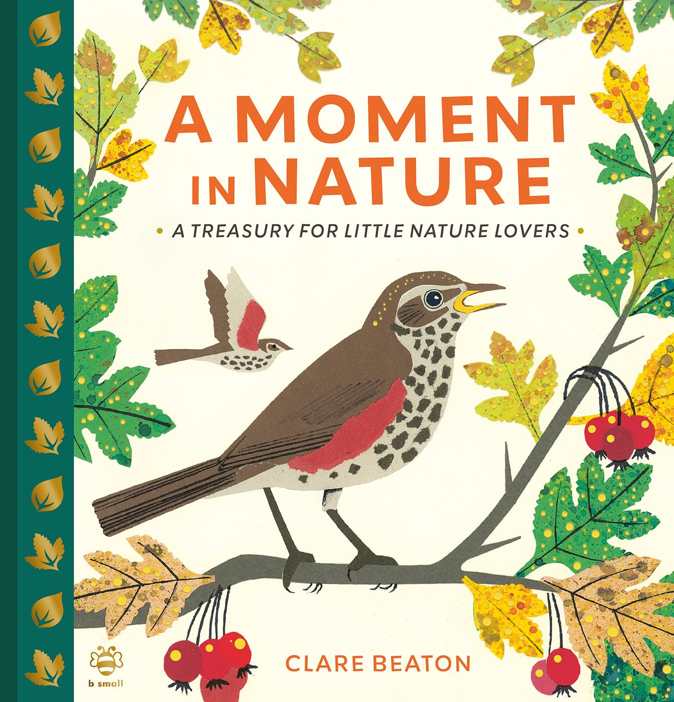 A Moment in Nature by Clare Beaton, Clare Beaton - 9781916851191