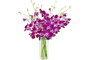 KaBloom Purple Orchid Bouquet Mother's Day
