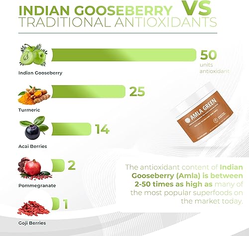 Miniatura 8 de Suplemento de superalimento en polvo Amla con especias de calabaza, 20 veces amla ultra concentrado, hecho con canela, jengibre, nuez moscada,