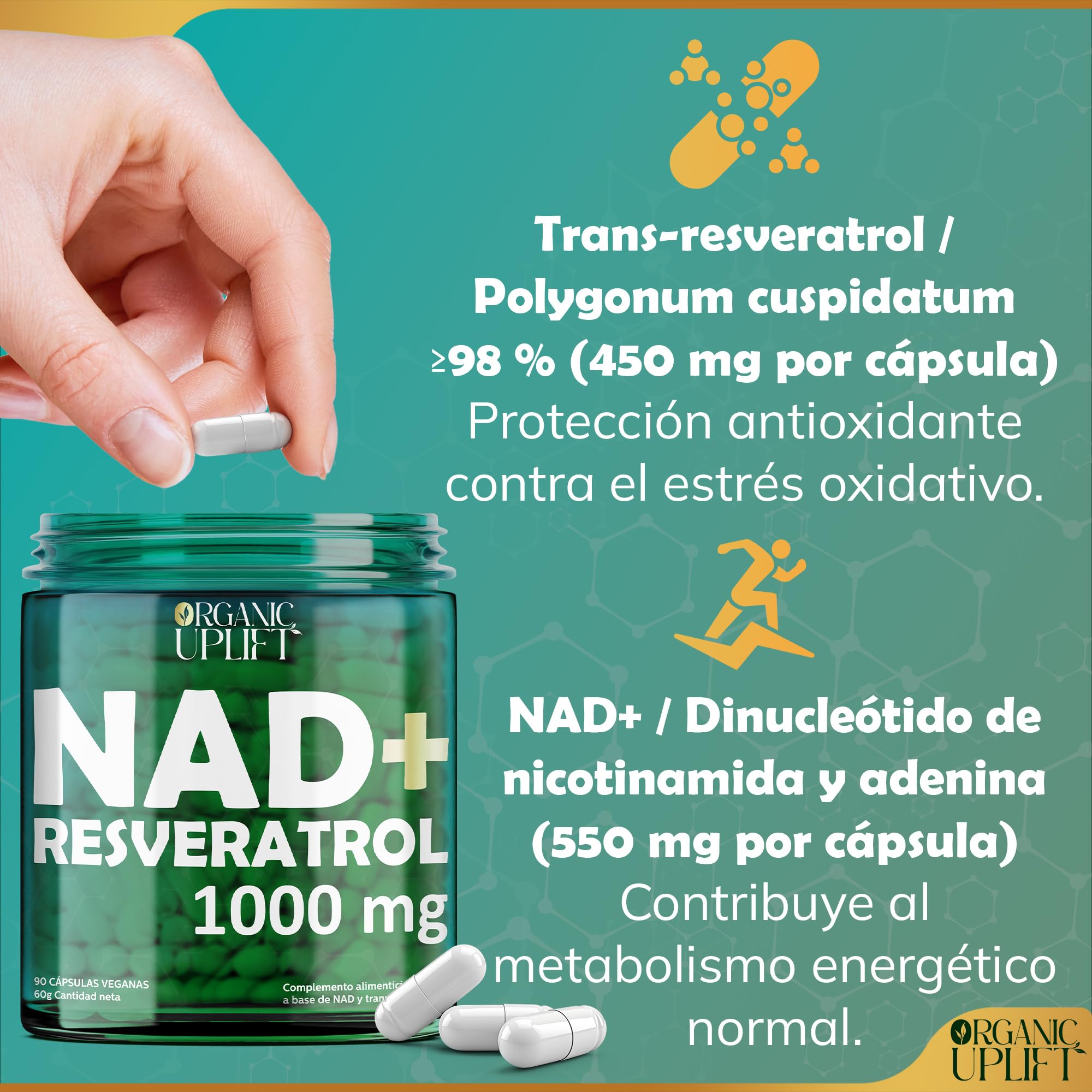 NAD Resveratrol Puro 1000 mg, NAD+ liposomal para hombres y mujeres, nicotinamide riboside, Cápsulas de NAD Plus de alta pureza, Probado en laboratorio, suministro para 3 meses (90 cápsulas)