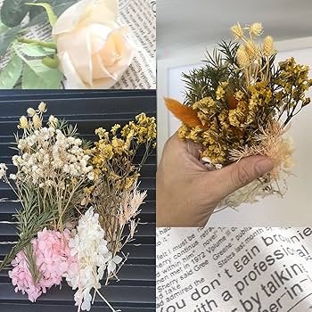 Cayway 82 PCS Natural Dried Pressed Flowers Leaves Glitter And Accessories Kit With Tweezers, Scissors For DIY Candle Resin Jewelry Nail Pendant Crafts Art Floral Decoration
